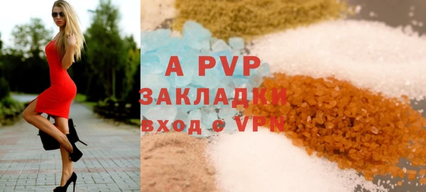 индика Инта