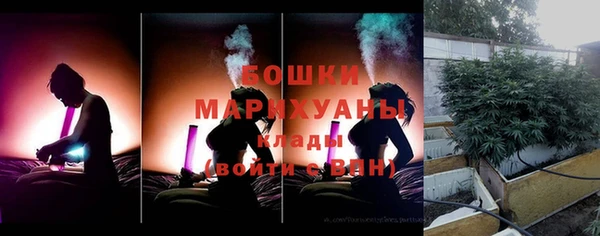 мдпв Магас