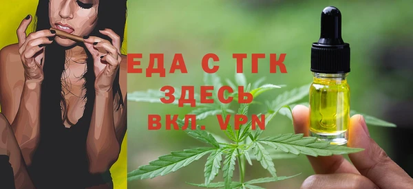 индика Инта