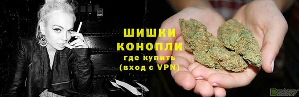 мдпв Магас