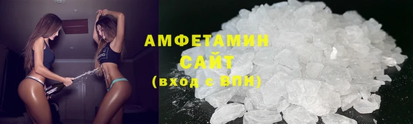 индика Инта