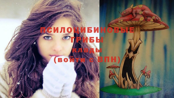 индика Инта