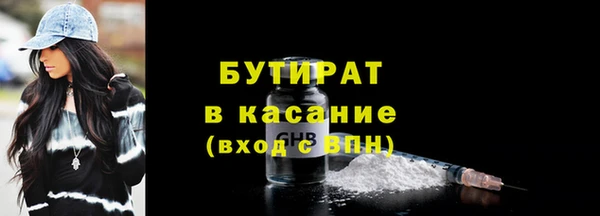 индика Инта