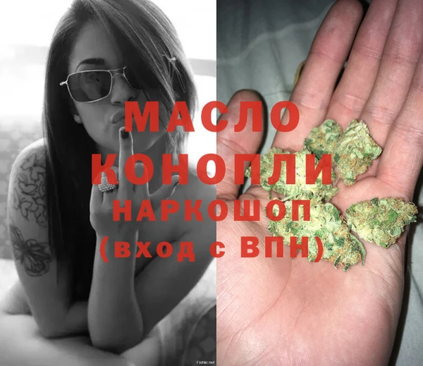 индика Инта