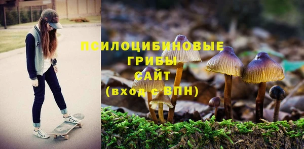 индика Инта