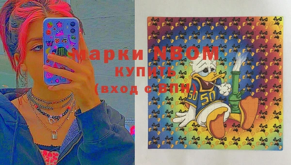 соль ск Иннополис