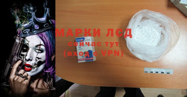 индика Инта