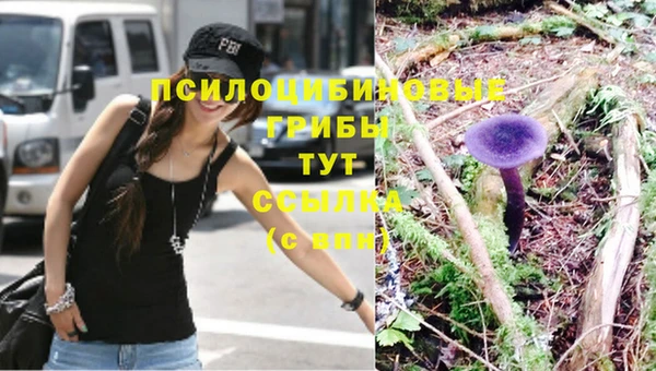 соль ск Иннополис