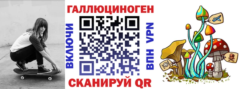 Псилоцибиновые грибы GOLDEN TEACHER Томмот