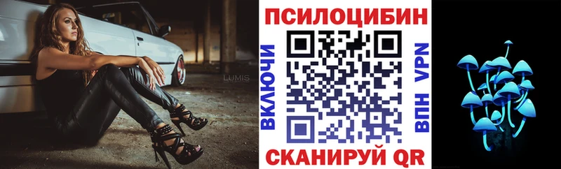 Псилоцибиновые грибы GOLDEN TEACHER  наркошоп  Томмот 